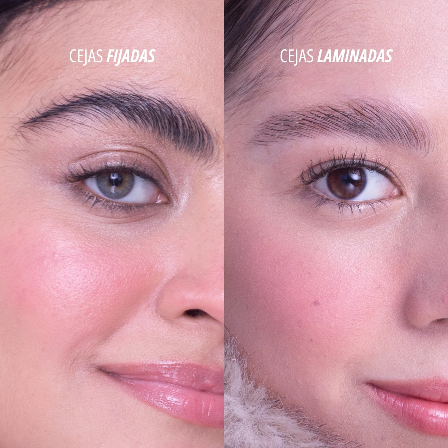 Gel Fijador de Cejas Freeze Babes Anik Makeup
